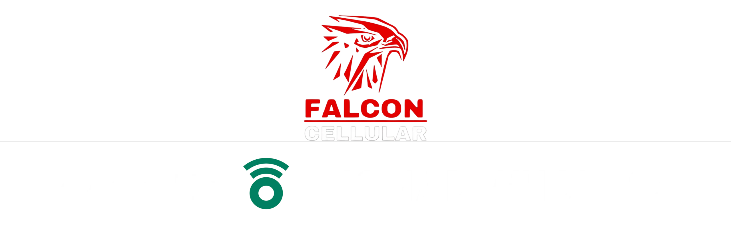 Footer Logo